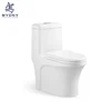 Hotel Ceramic Dual Flush WC Easy Cleaning Siphonic Chinese One Piece Toilet