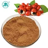 Nonaherbs pure organic guarana seed extract caffeine powder
