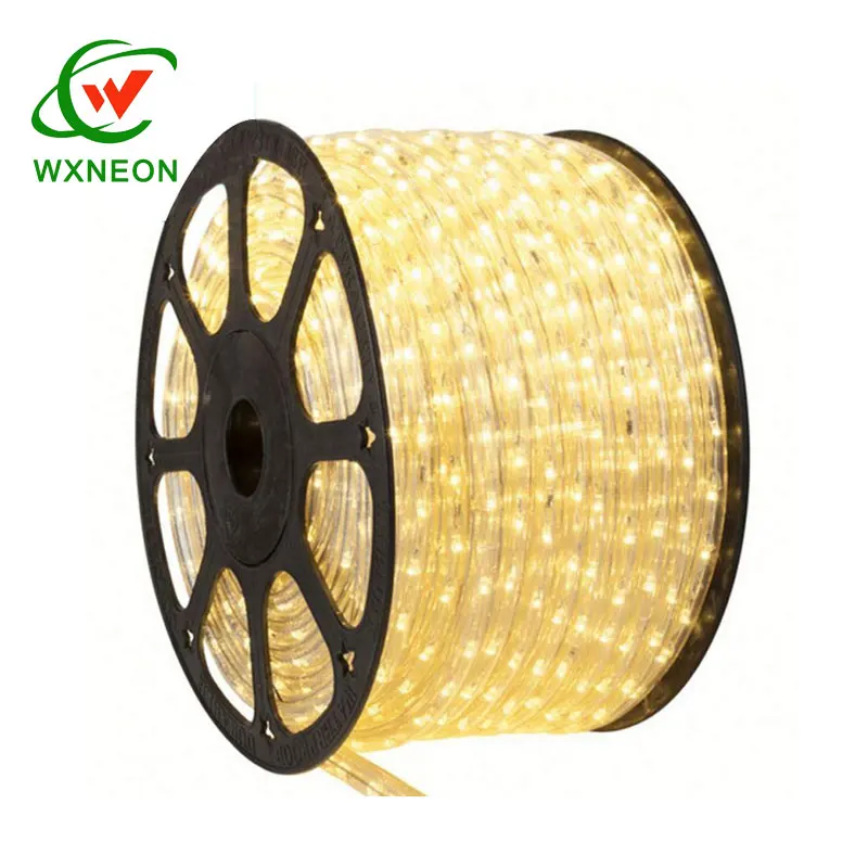 100 Meters Outdoor Easy Shape Industrial 220V LED Rope Light For Theme Park Lighting Display