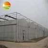 hot sale plastic film greenhouse price low for tomato