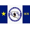 Good quality RAINS COUNTY custom texas flag with two holes