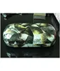 Luxury abalone shell jewelry box