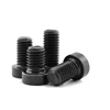 M8 M10 Grade8.8 black zinc galvanized steel hex socket low cap head screw DIN7984