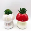 mushroom Mini cute ceramic succulent planter pots with saucer porcelain decorative flower pot unique planters