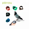 125khz Rfid Tag Pigeon Foot Racing Pigeon Tracking Bird Ring