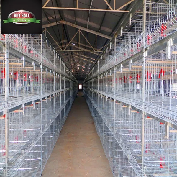 Cheap Chicken Coop At Factory Price With Best Steel Raw Material Buy