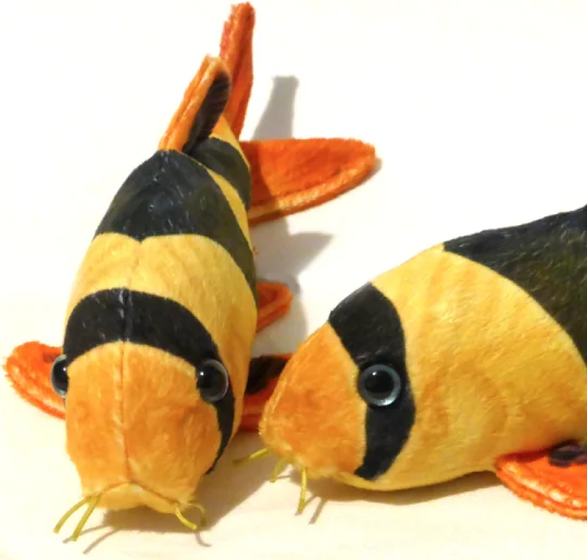 stuffed fish toy