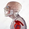 2019 New Resin vero polyjet 3d printing service medical device