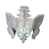 High Precision Custom Pelvic Cavity Mould Rapid Prototyping 3D Printing Service