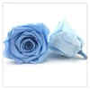 Home Decoration Beautiful Natural Sky Blue rose Preserved Immortal Flower