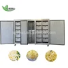 Popular Bean Sprout Machine in International Market