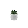/product-detail/hot-selling-high-quality-plant-artificial-potted-succulent-arrangements-62102812934.html