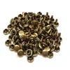 /product-detail/all-kinds-of-color-double-cap-rivet-included-silver-gun-black-and-antique-brass-62112794502.html