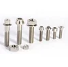 Manufacturer supply high quality titanium screw Gr2 Gr5 titanium with bottom price