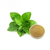 Pure natural peppermint leaf extract powder
