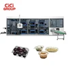 New technology computer controlled automatic pp lid capping machine