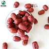 export of chinese Ruoqiang organic dried red dates price
