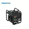 High Quality 1KW Inverter Generator color customized