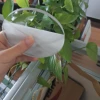 uv protection solid polycarbonate sheet for observe window