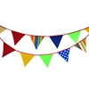 Decorative Printed Colorful Triangular Flag