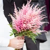 Colorful & Feathery Plumes Of Astilbe A Delicate Looking Snowflake-like Flower.