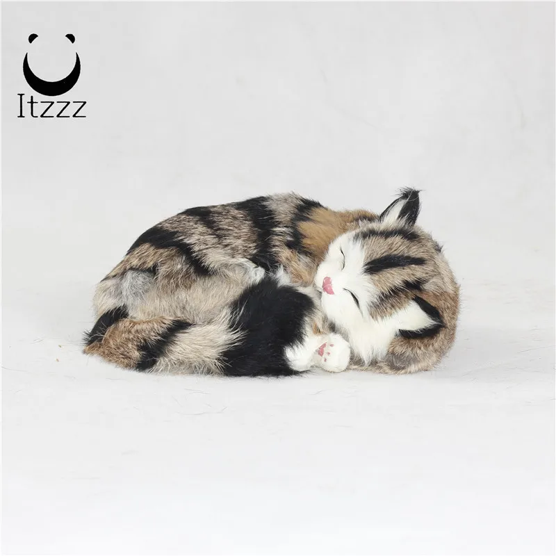 gatitos de peluche que respiran
