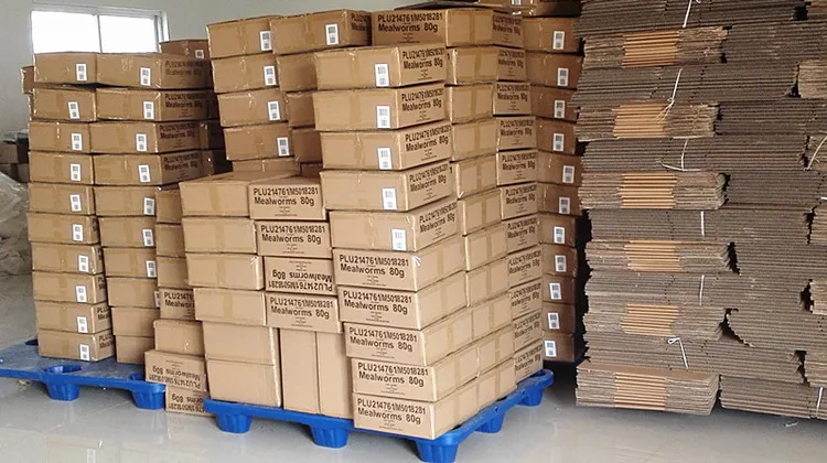 organic fish feed dried artemia cysts