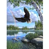 Diy Home Decoration 5D Diamond Painting kits Cross Stitch Diamond Embroidery Eagle Full Square Round Drill Mosaic Art for Adult