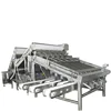 Shrimp Grader Classification Machine Shrimp Processing Line
