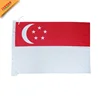 Promotion Logo Printing Polyester Fabric Rectangle Hand Flag With Plastic Ploe