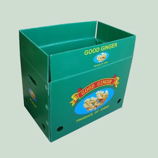 Reusable Coroplast Sheet Box/corrugated Plastic /corflute Pp Packaging