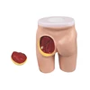 Medical Body Surface Anatomy Internal Structure Advanced Hip Muscle Injection and Anatomical Structure Model