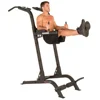 Wellshow Sport Gym Equipment Multifunction Bodybuilding Fitness Dip Stands Station Chin Push Pull Up Bar Power Tower