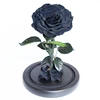 Festival Day Gifts Natural Flower Black Rose Mini Beauty And The Beast Eternal Rose Preserved Flower In Glass Dome
