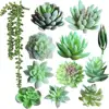 /product-detail/artificial-succulent-plants-12pcs-different-types-assortment-green-faux-succulent-arrangement-for-home-party-decoration-62114885377.html