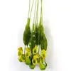 Factory wholesale SZLC001 simulation plastic carnivorous plant artificial pitcher plants