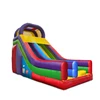 giant inflatable slides G4002