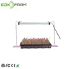 /product-detail/perfect-growing-salad-micro-greens-mini-greenhouse-kits-for-gardens-and-kitchen-60726515748.html