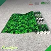 /product-detail/wholesale-bsci-wallpaper-green-eye-protection-factory-in-china-home-decoration-nature-kids-room-wall-paper-62082093792.html