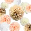 20 Pcs Party Tissue Paper Pom Poms Kit (14", 10", 8", 6" Paper Flowers) for Wedding, Birthday, Baby Shower, Bachelorette, Nurser