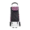 Popular folding grocery shopping cart collapsible supermarket two wheels six wheels shopping bag trolley