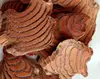 TCM Natural wild dried spatholobus stem cuts for sale