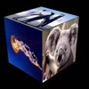 Amazing Visual Effect P2.5 P3 P4 Cube Column Surrounded Commercial Led Screen Display
