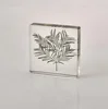 plants specimen plant glass embedded specimen