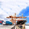 DHL International Express to the United States UPS straight hair UK Germany Canada Canada FBA air line double clear door to door