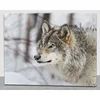 Wolf Canvas Print for Home Decoration,Animal Oill Painting Canvas for Living Room