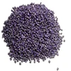 Plastic pp/ pe/ pet/ abs granule purple Color Masterbatch for injection/ blowing/ sheet