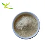 fresh white button mushroom extract powder