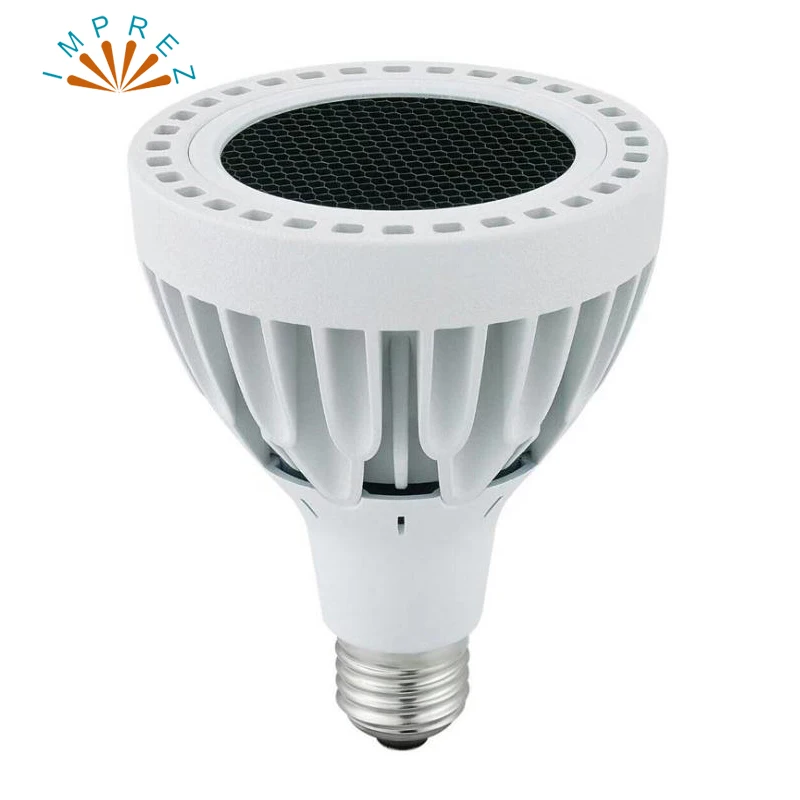 30W PAR30 LED spot light100-240V high lumen PAR30 lamp without fan 30 beam angle 80Ra 2 years warranty