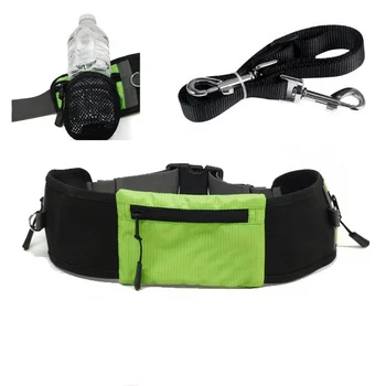 dog training belt